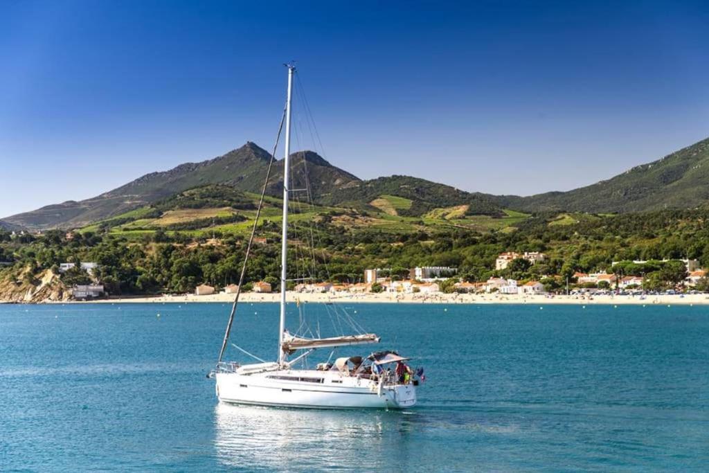 "Les Bambous" Studio Cosy Climatise Au Calme De 37 M2 Parking Gratuit A Argeles Sur Mer Eksteriør billede